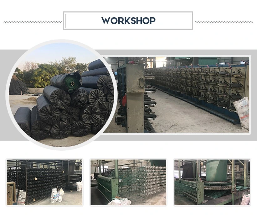 Аттестованный сплетенный Geotextile стабилизации ткани сплетенный PP для подкрепления почвы
