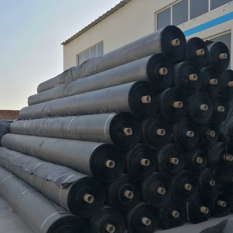  Аттестованный сплетенный Geotextile стабилизации ткани сплетенный PP для подкрепления почвы