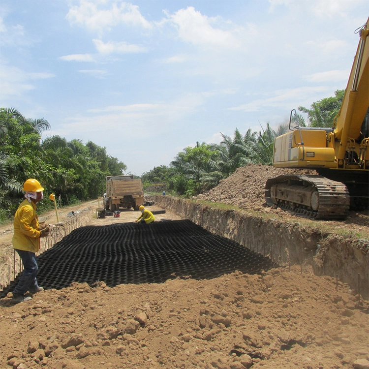 Устойчивая к коррозии пластмассовая геоэлементная сетка из HDPE, используемая в дорожном строительстве 5