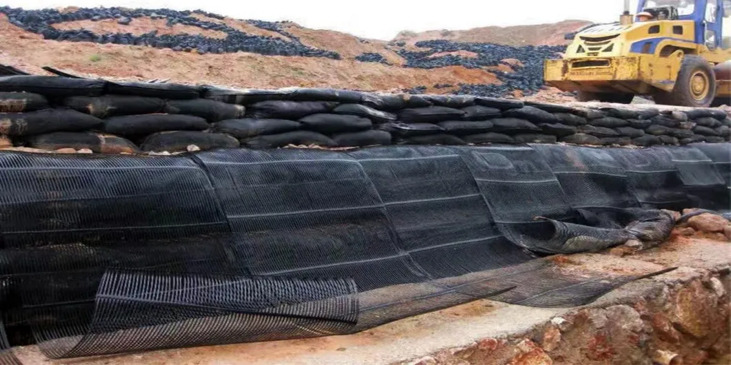 PP Uniaxial Plastic Geogrid PE One-Way Geogrid Uniaxial Polyester Geogrid Price Gravle Grid Ground Stabilizer for Soil Reinforcement