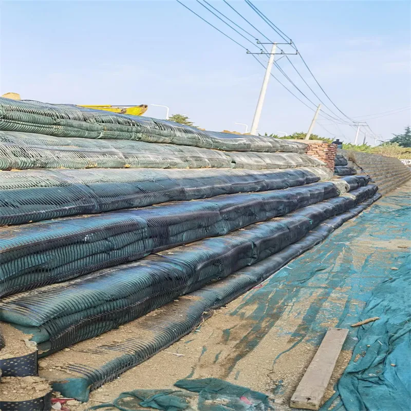 PP Uniaxial Plastic Geogrid PE One-Way Geogrid Uniaxial Polyester Geogrid Price Gravle Grid Ground Stabilizer for Soil Reinforcement