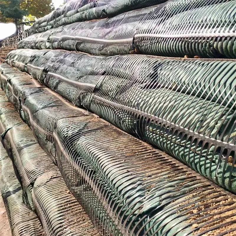 PP Uniaxial Plastic Geogrid PE One-Way Geogrid Uniaxial Polyester Geogrid Price Gravle Grid Ground Stabilizer for Soil Reinforcement