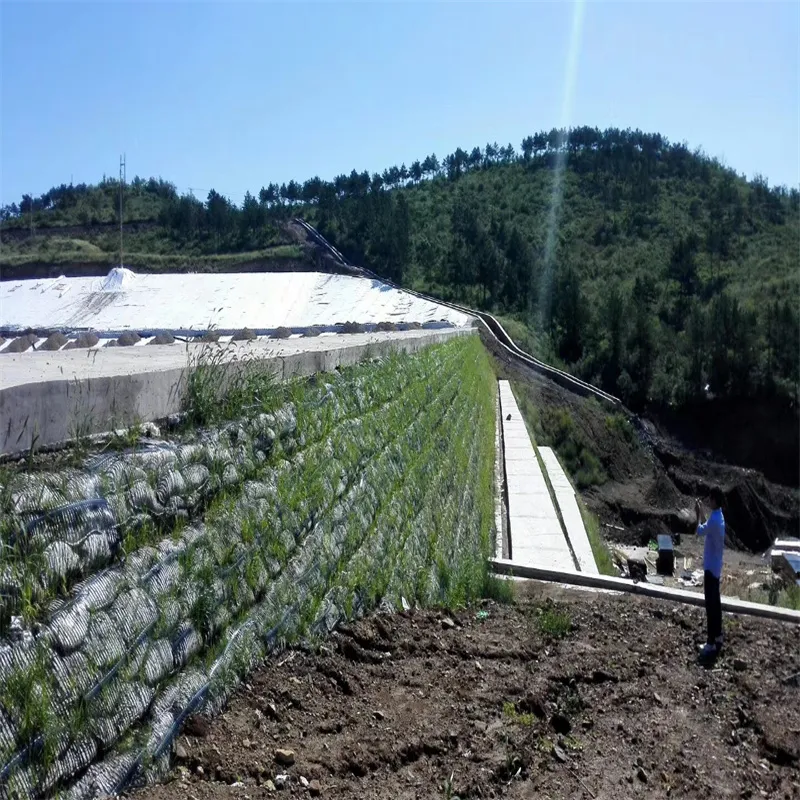 PP Uniaxial Plastic Geogrid PE One-Way Geogrid Uniaxial Polyester Geogrid Price Gravle Grid Ground Stabilizer for Soil Reinforcement