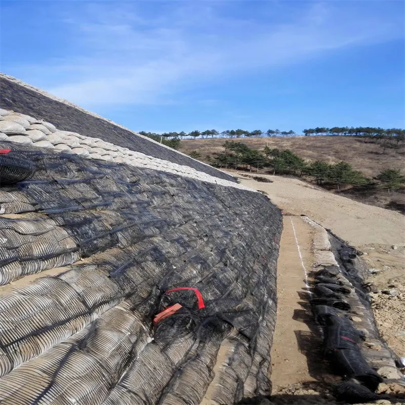 PP Uniaxial Plastic Geogrid PE One-Way Geogrid Uniaxial Polyester Geogrid Price Gravle Grid Ground Stabilizer for Soil Reinforcement