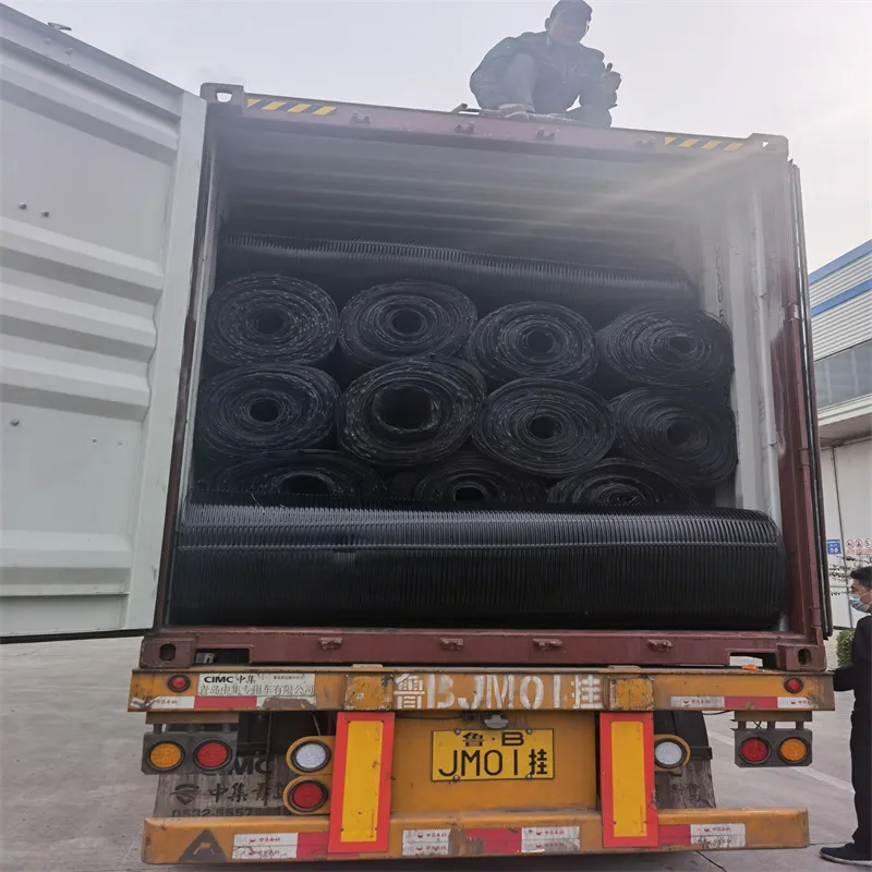 PP Uniaxial Plastic Geogrid PE One-Way Geogrid Uniaxial Polyester Geogrid Price Gravle Grid Ground Stabilizer for Soil Reinforcement