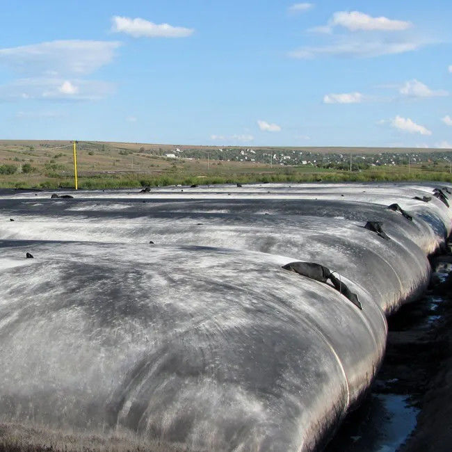 Высокое растяжимое Geo кладет Dewatering цедильный мешок в мешки Geotextile