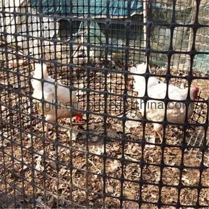 Высокопрочный полиэстер Geogrid для базальных обваловок и подкрепления стен наклона почвы