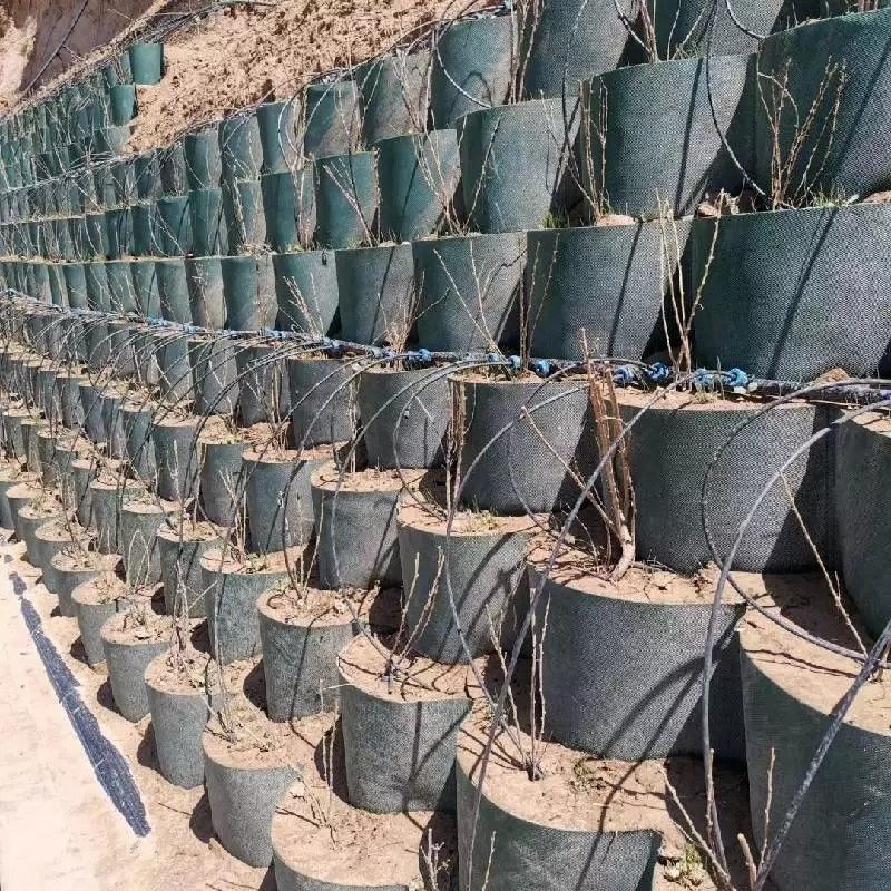 Устойчивая к коррозии пластмассовая геоэлементная сетка из HDPE, используемая в дорожном строительстве