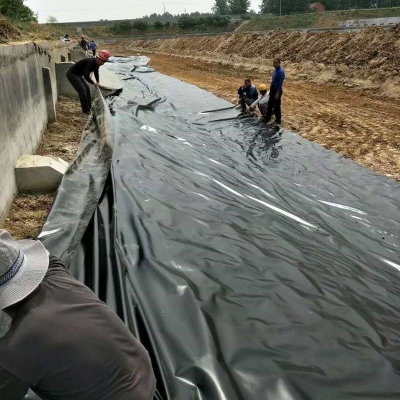 0.5mm 1mm 1.5mm Пластмассовая водонепроницаемая геомембрана Аквакультура Geomembrane Hdpe Liner Рыбная ферма Wholesale Geomembrane Pond Liner