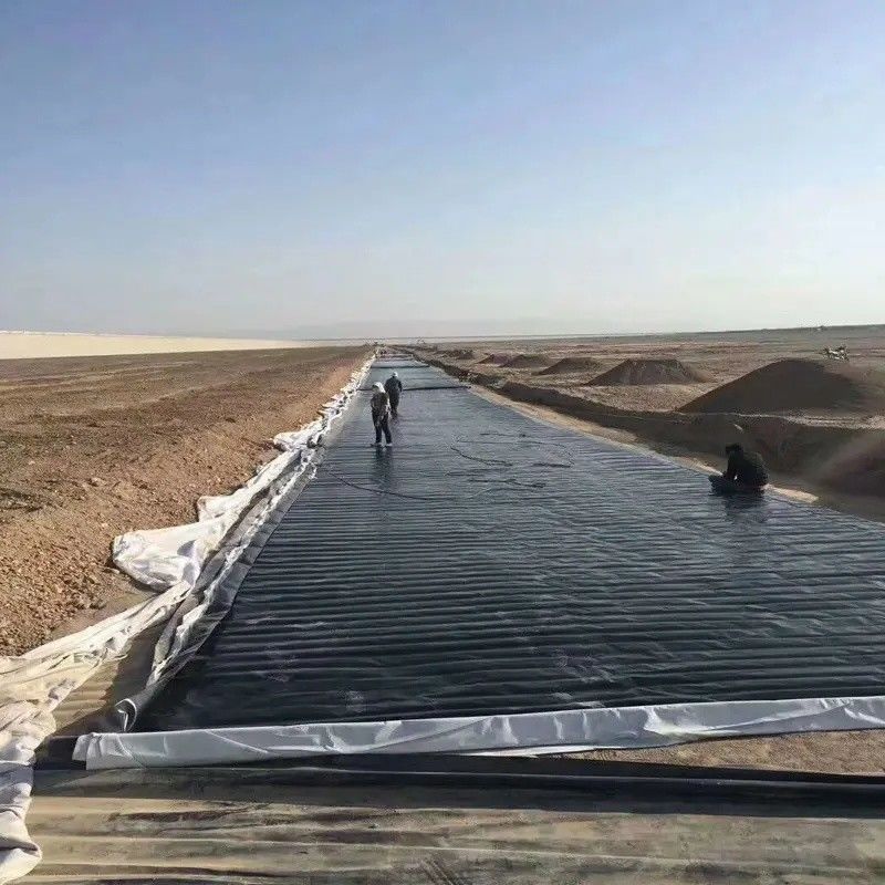 0.5mm 1mm 1.5mm Пластмассовая водонепроницаемая геомембрана Аквакультура Geomembrane Hdpe Liner Рыбная ферма Wholesale Geomembrane Pond Liner