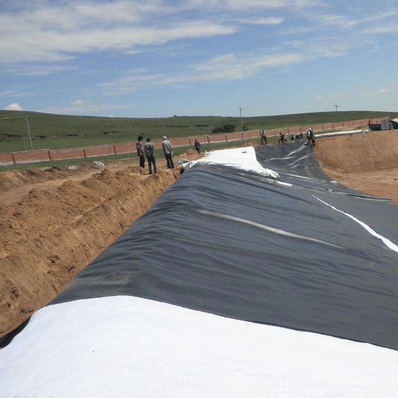 Геомембрановый гидроизоляционный линейник из HDPE / линейка бассейна / Георидный строительный материал дорог, биогазовый перевариватель полигонов