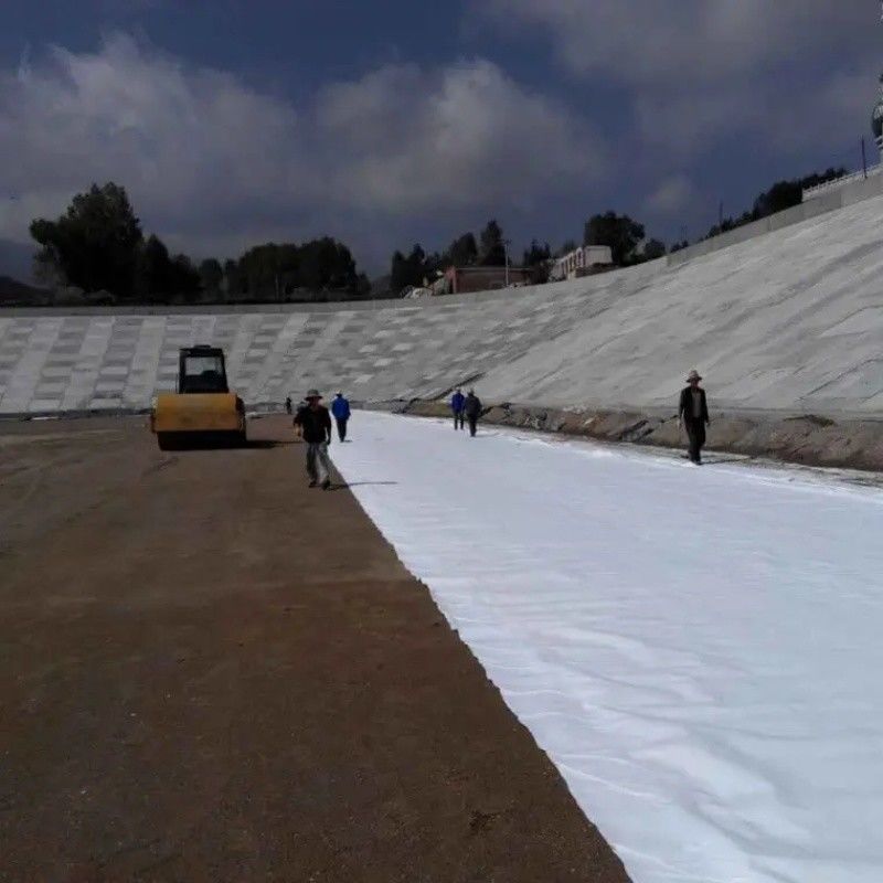 Геотекстиль Геотекстиль Геофабрика УФ-устойчивость Полиэстер короткий / Стейпл игла проколота нетканая геотекстиль