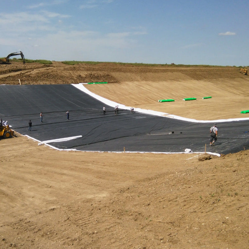 Геомембрана из HDPE/LDPE 1,0 мм/1,5 мм/2,0 мм для водонепроницаемой / рыбной пруды / свалки / искусственного озера / шахты / дамбы / бассейна