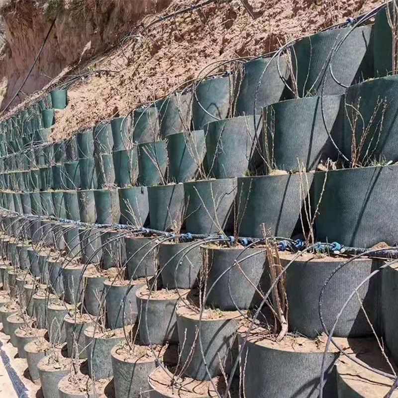 Текстурированная высококлеточная система заключения Медовая паутина HDPE Geocell Для дорог Фундамент Защита склона Парковочный участок Подъездная стена