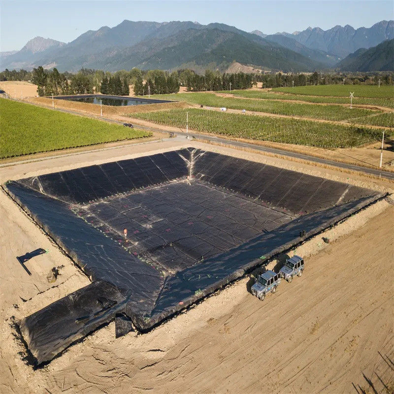 HDPE высококачественный полиэтиленовый подкладка стиль промышленного дизайна для рыб и креветок фермы пруды Balck водонепроницаемый