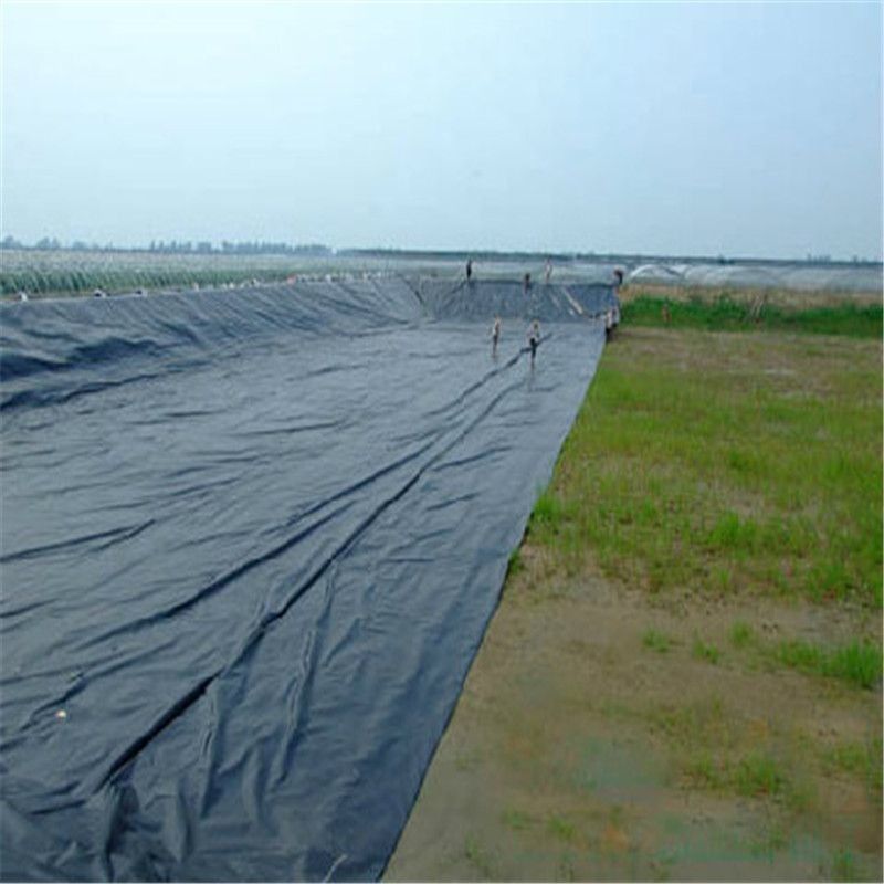 HDPE высококачественный полиэтиленовый подкладка стиль промышленного дизайна для рыб и креветок фермы пруды Balck водонепроницаемый