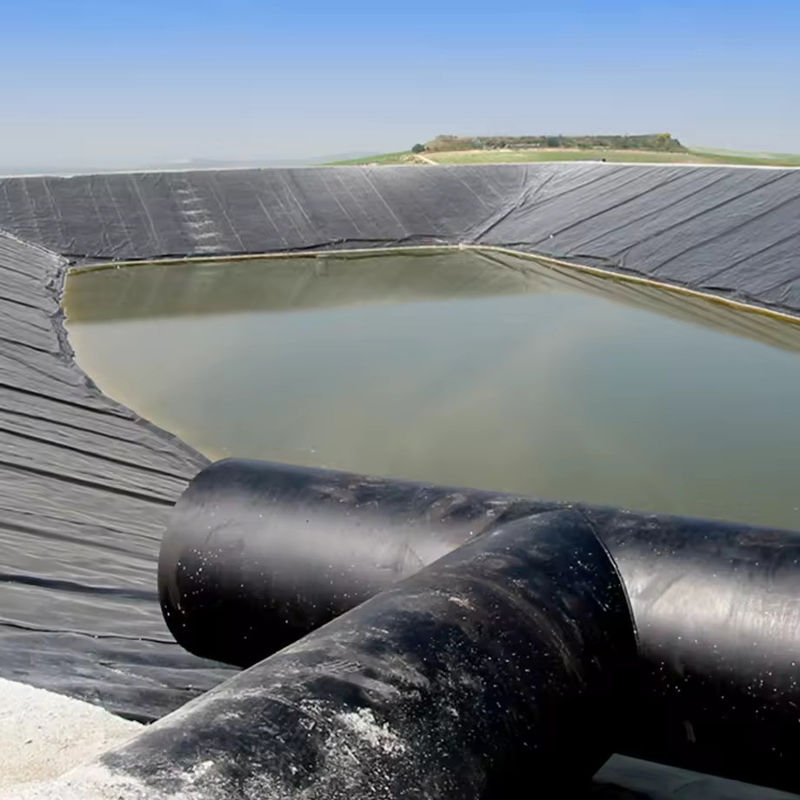 Настройка на заказ HDPE LDPE LLDPE PVC геомембраны водоемов для рыб и креветок водоемов & усиленный полиэтиленовый водоемов