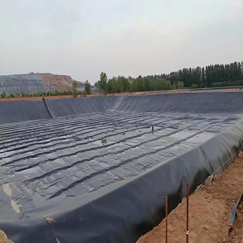 Настройка на заказ HDPE LDPE LLDPE PVC геомембраны водоемов для рыб и креветок водоемов & усиленный полиэтиленовый водоемов