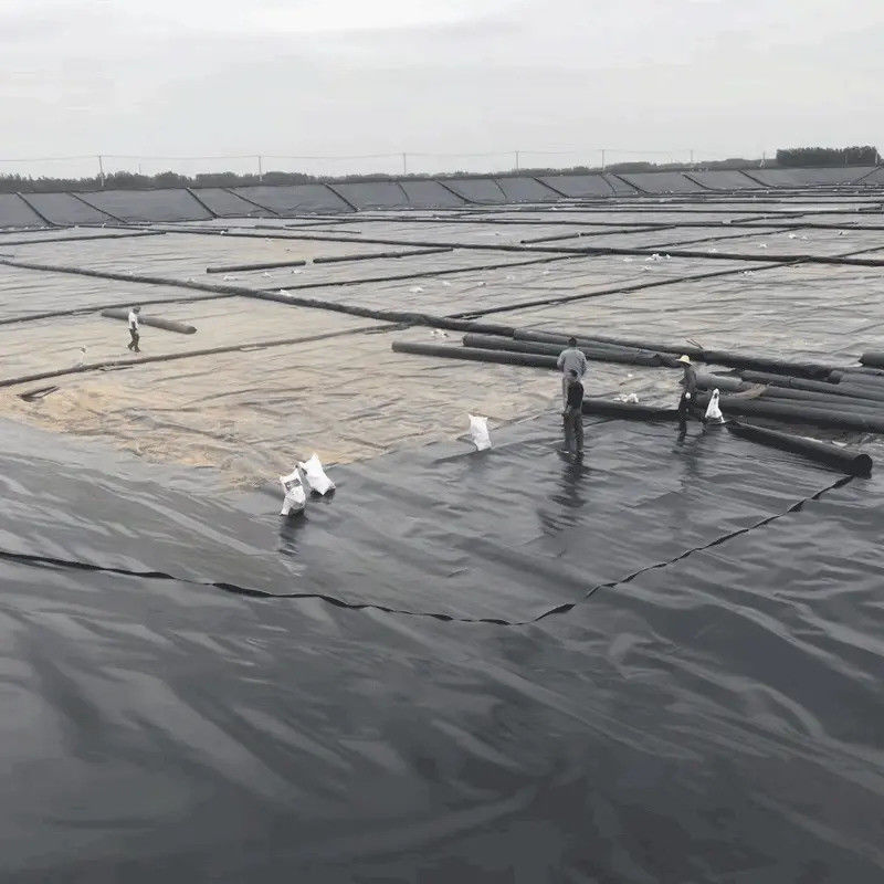 Высококачественный черный геомамбранный водоем из HDPE 0,5 мм ≈ 2,0 мм для рыбоводства, водоемов аквакультуры, водохранилищ и гидроизоляции плотин