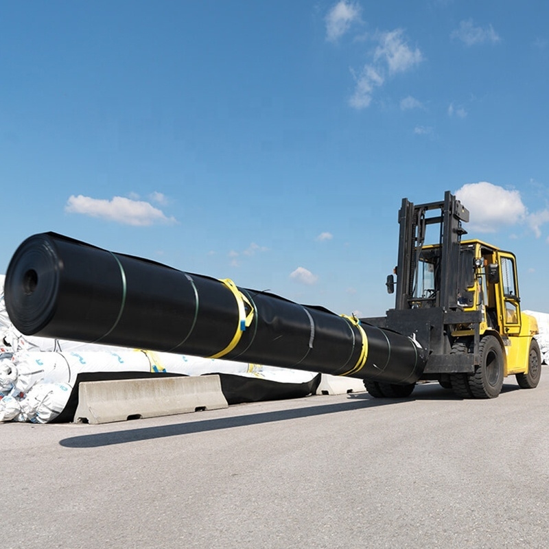 Геомембранная подкладка из HDPE для аквакультуры, рыбоводства, прудов, дамб, бассейнов и водосберегающих приложений