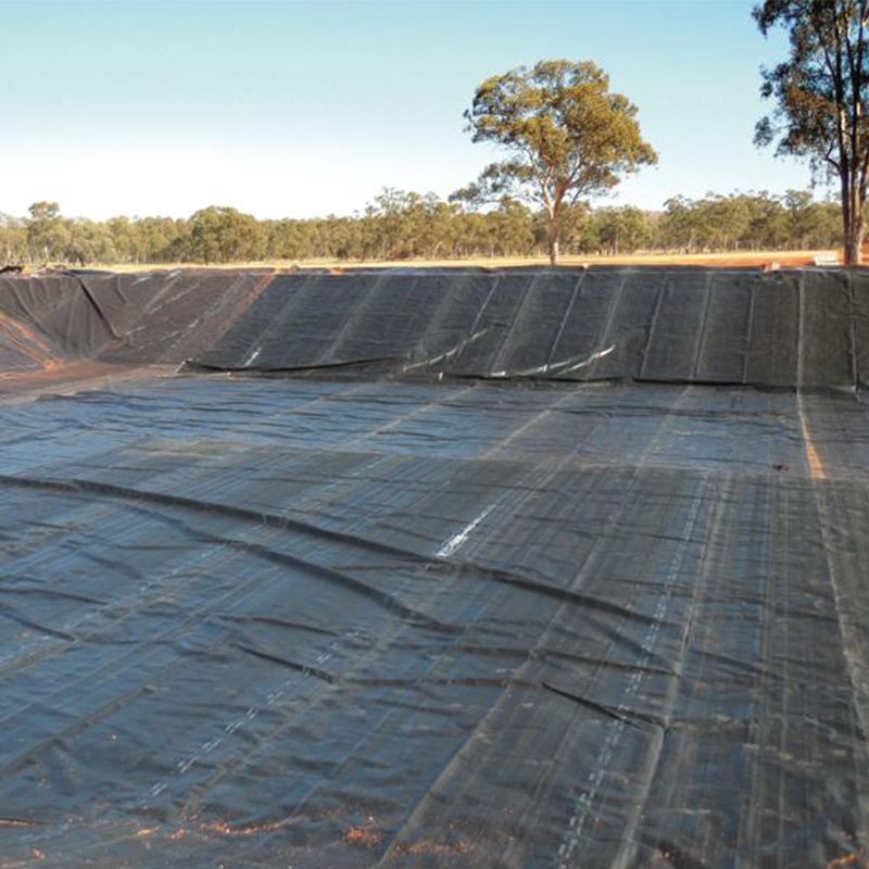 Твердая черная подкладка Hdpe водонепроницаемая водонепроницаемая полиэтиленовая геомембрана Цена на продажу