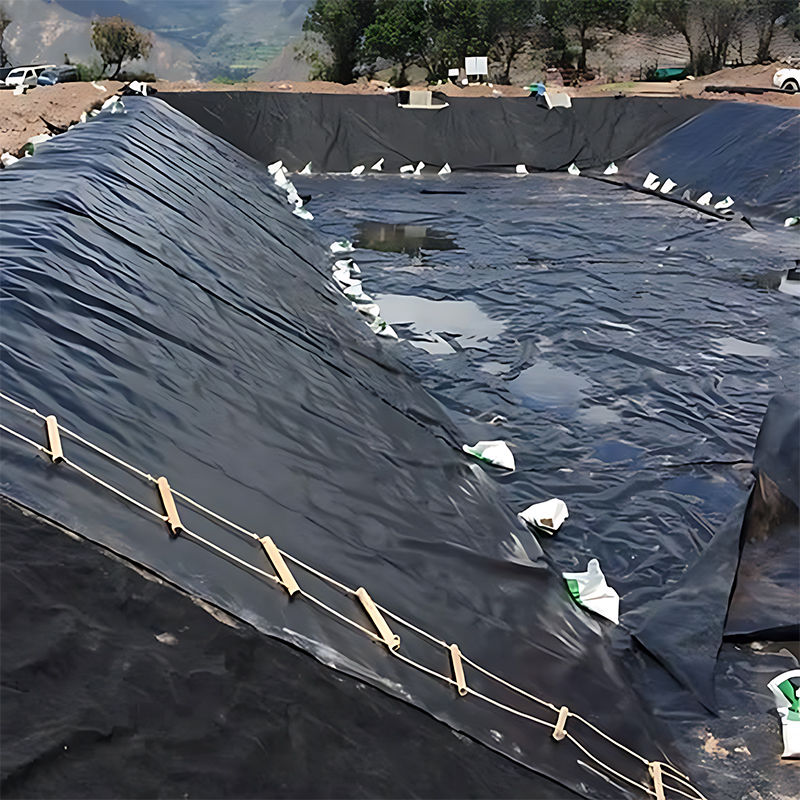 0.3мм/0.4мм/0.6мм/0.75мм/1мм/1.4мм/1.5мм 20мм 30мм 40мм HDPE Geomembrane Pond Liner /Geomembrane Производитель Фабрика Дистрибьютор Цена