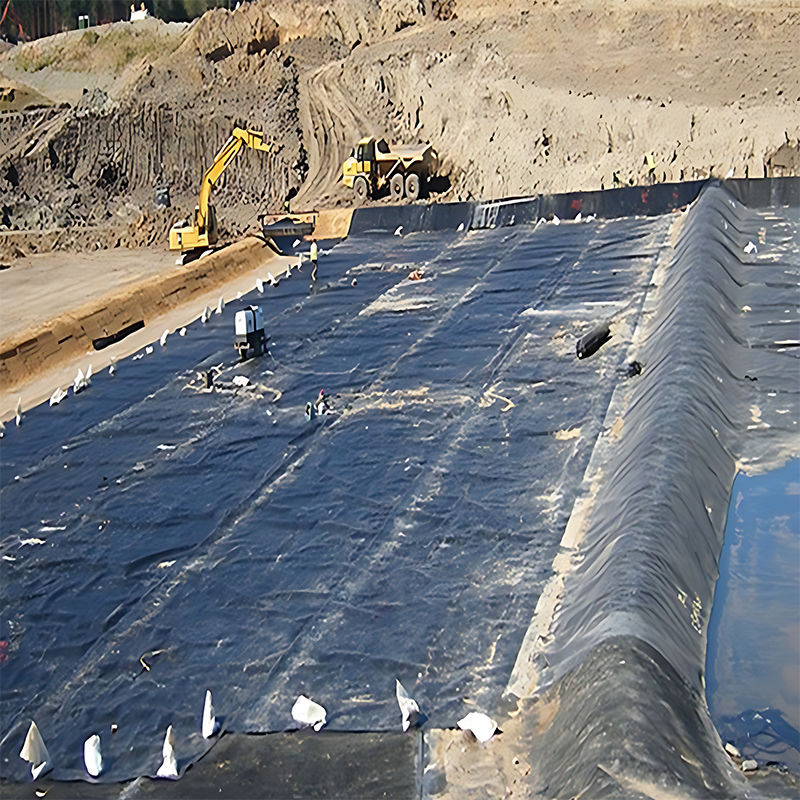 0.3мм/0.4мм/0.6мм/0.75мм/1мм/1.4мм/1.5мм 20мм 30мм 40мм HDPE Geomembrane Pond Liner /Geomembrane Производитель Фабрика Дистрибьютор Цена