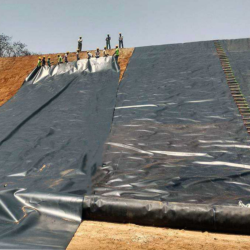 0.3мм/0.4мм/0.6мм/0.75мм/1мм/1.4мм/1.5мм 20мм 30мм 40мм HDPE Geomembrane Pond Liner /Geomembrane Производитель Фабрика Дистрибьютор Цена