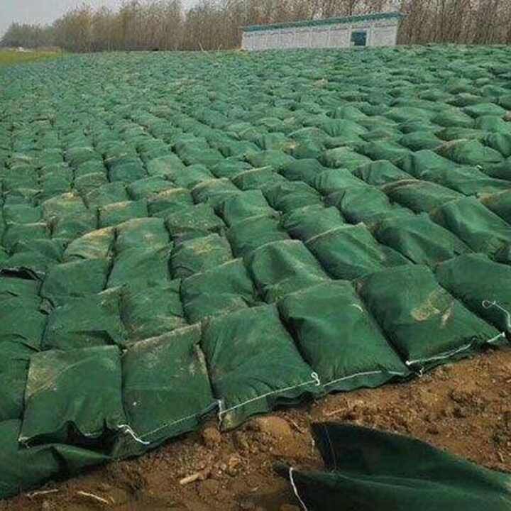 Geotextile Geobag River Bank Protection Flood Control Polyester Nonwoven Geotextile Geobag Sand Bag Large Geotextile Geobag for Beach Protection