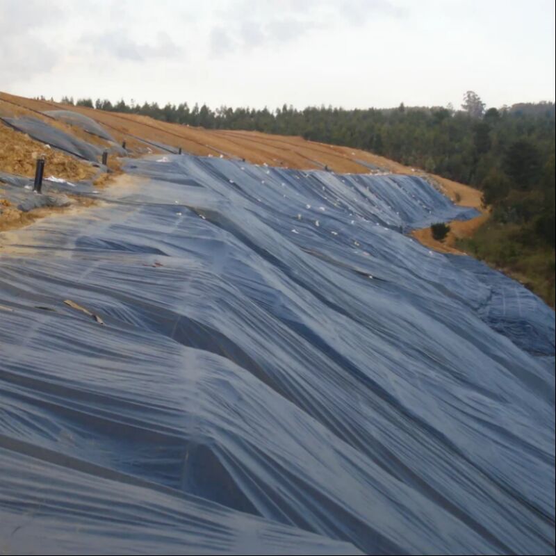 Водонепроницаемые гладкие пленочные покрытия для сельскохозяйственных прудов, разведения рыбы и креветок, искусственных озер, полигонов ТБО, геомембрана из полиэтилена высокой плотности